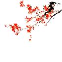 高兴
