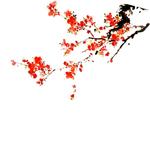 高兴