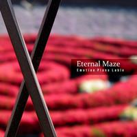 Eternal Maze