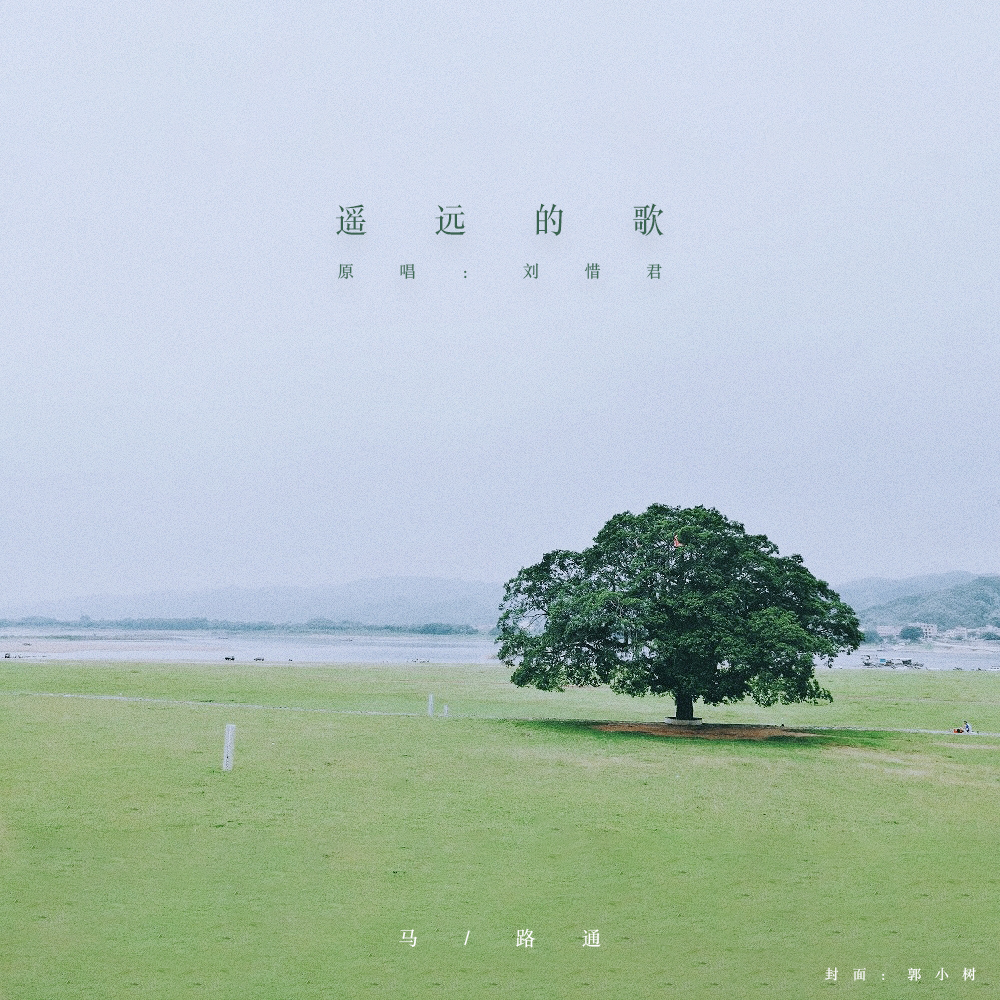 遥远的歌封面