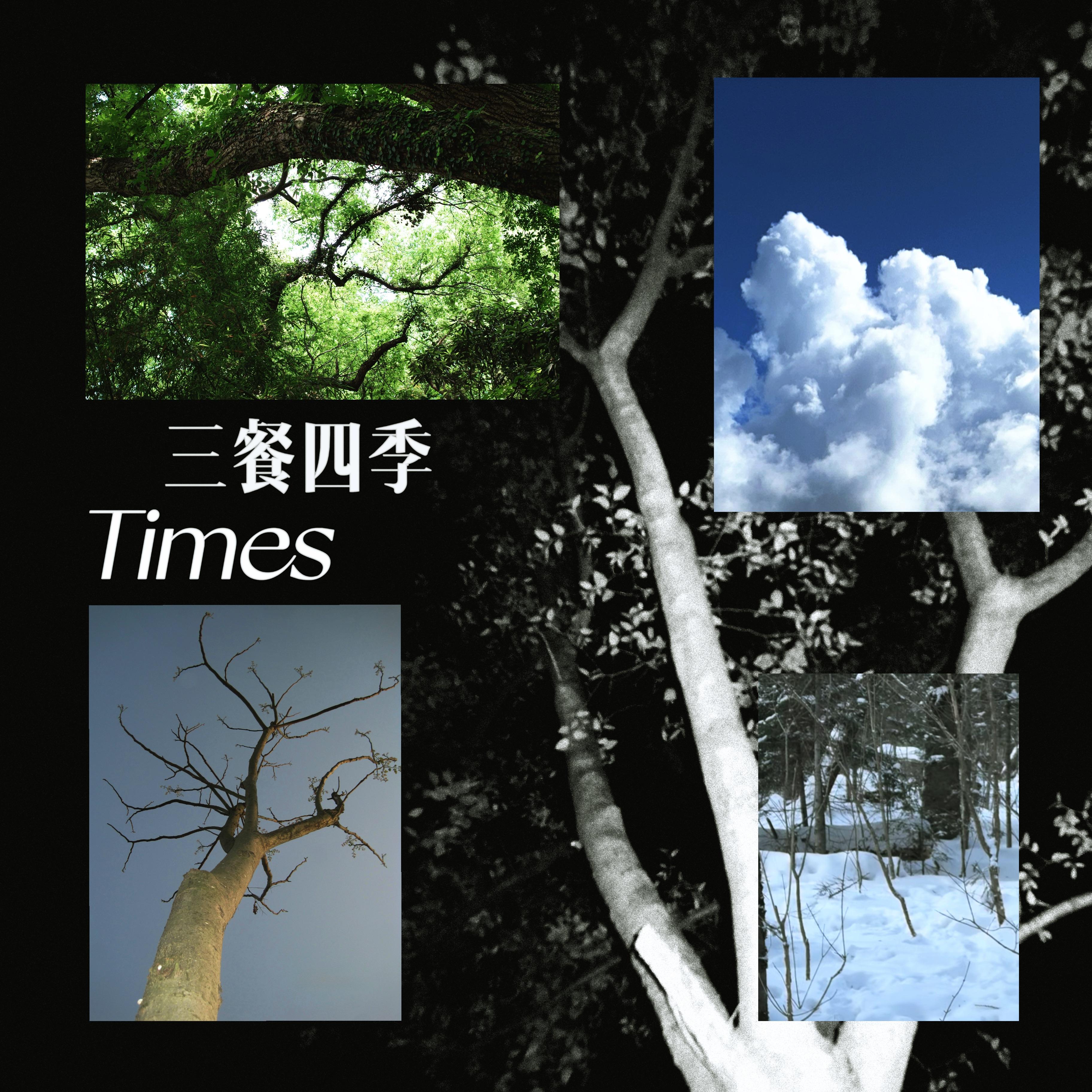 老去的我望着窗外