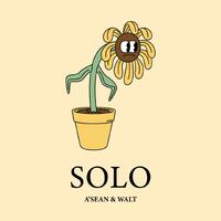 Solo