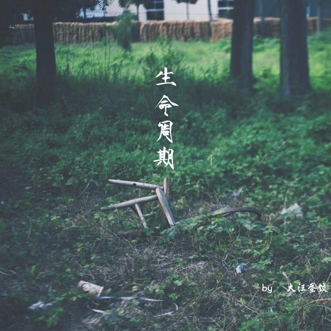 最像你的人是我封面