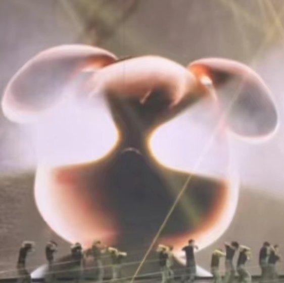 看见我的狗儿和锅咪了吗