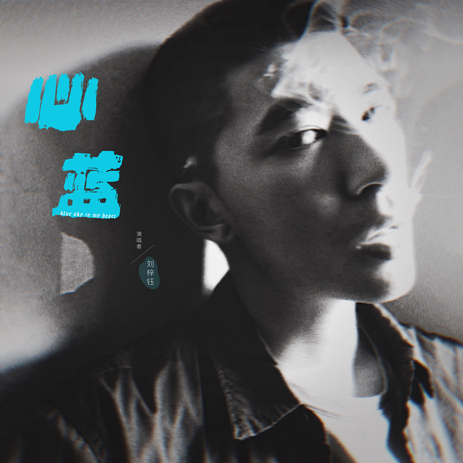 心蓝 (伴奏)封面