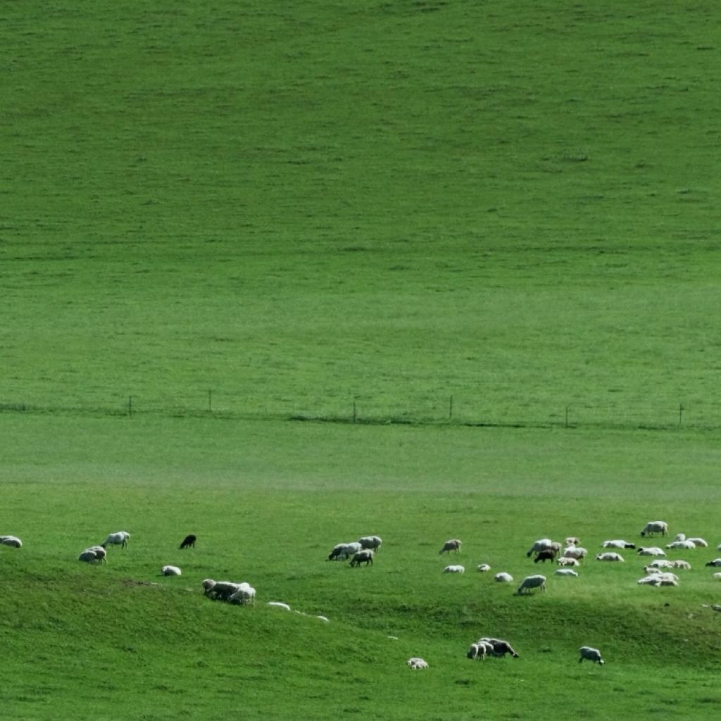美学轻音 | 孤独 寂静 放空 冥想 宿命感