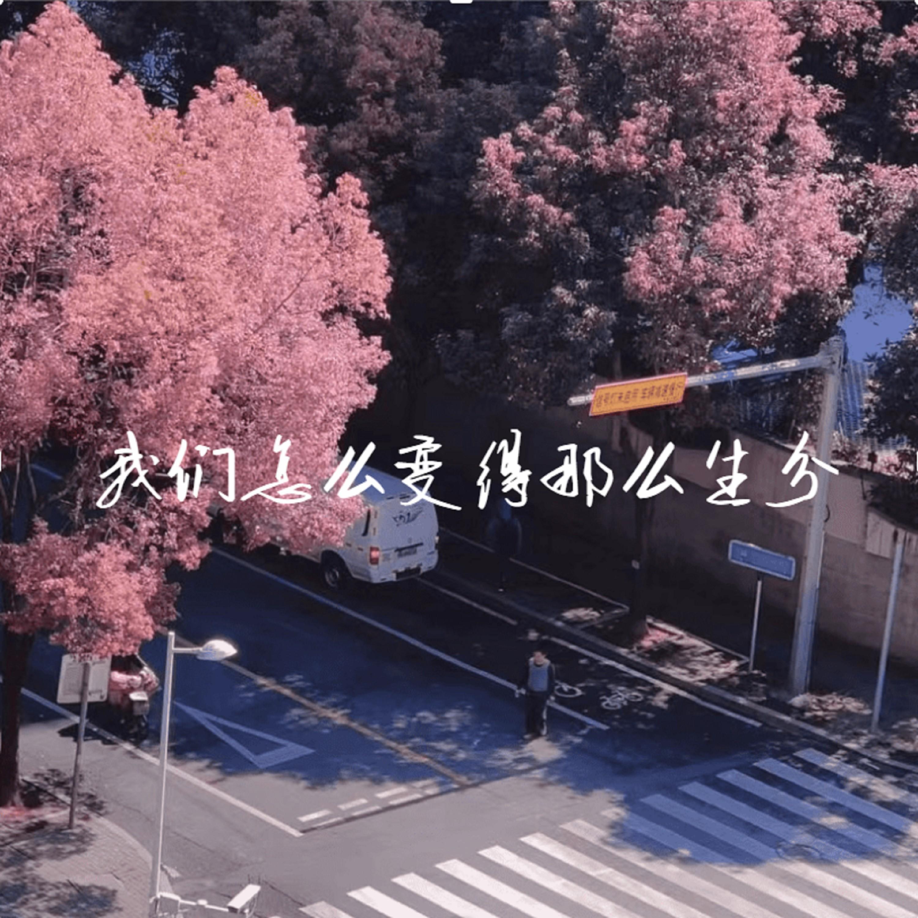 我们怎么变得那么生分 (伤感版)封面