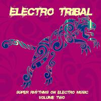 Electro Tribal, Vol. 2