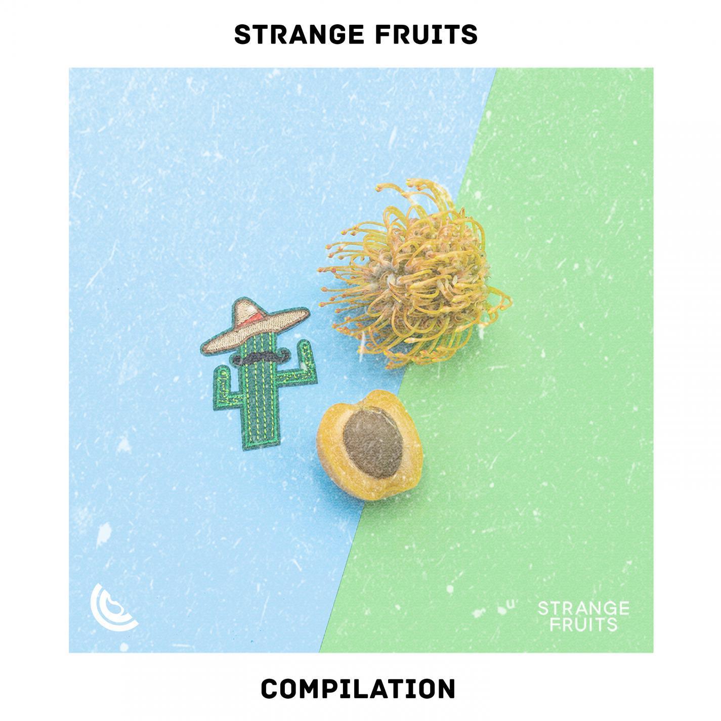 Collage (Freakpass Remix)