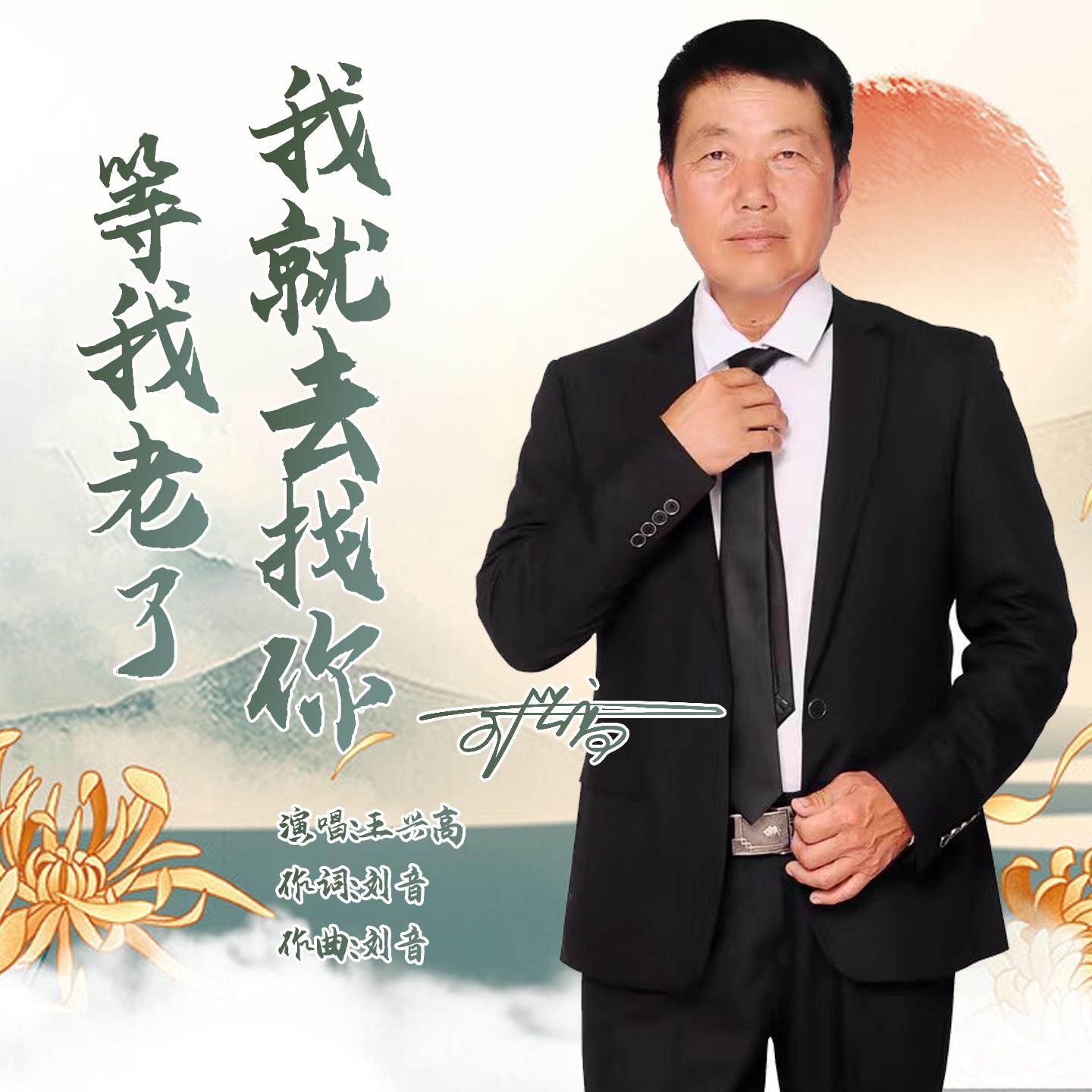 等我老了我就去找你封面