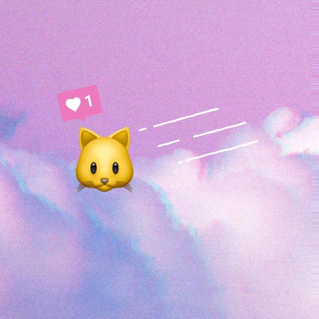布偶 - JNfind封面