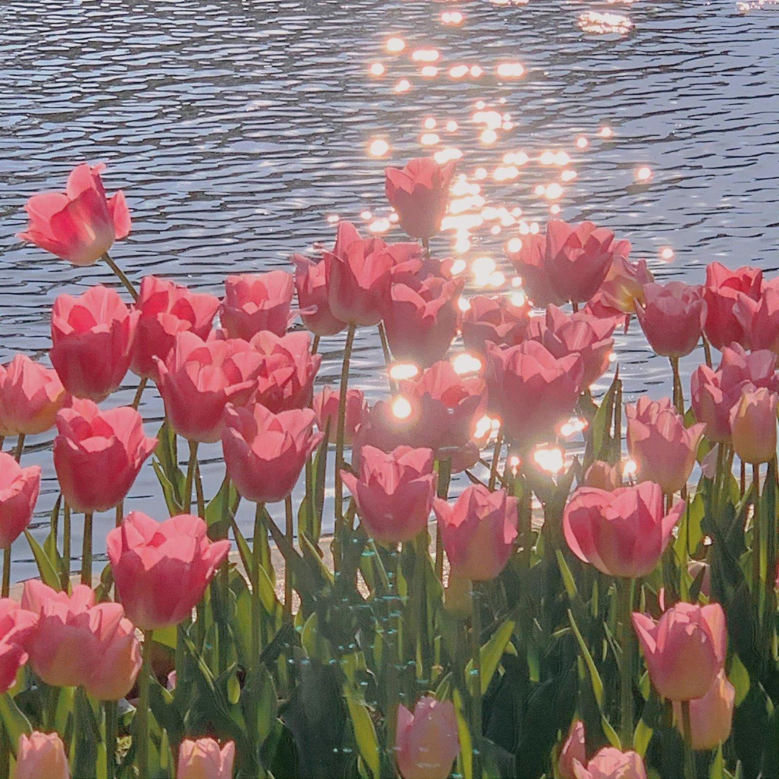 超好听的外语歌~【轻松-温柔-治愈】