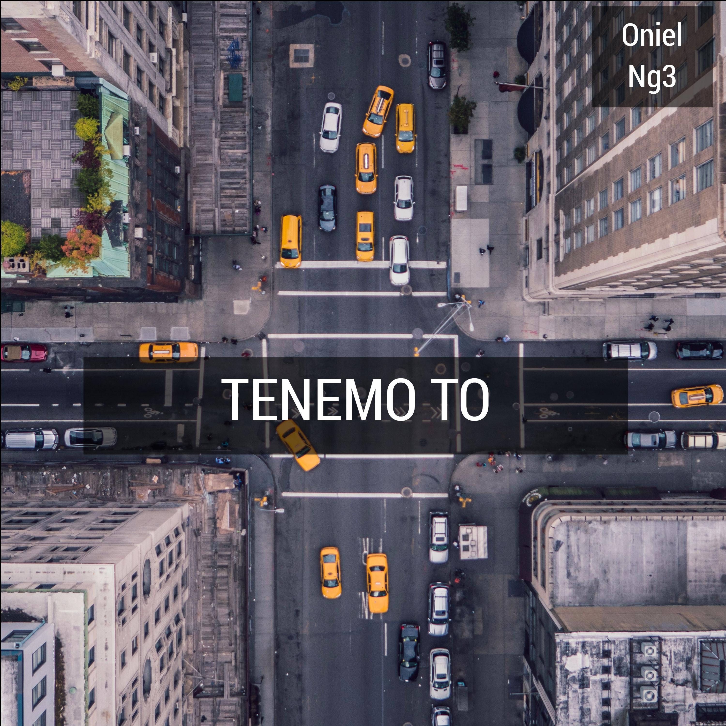 Tenemo to
