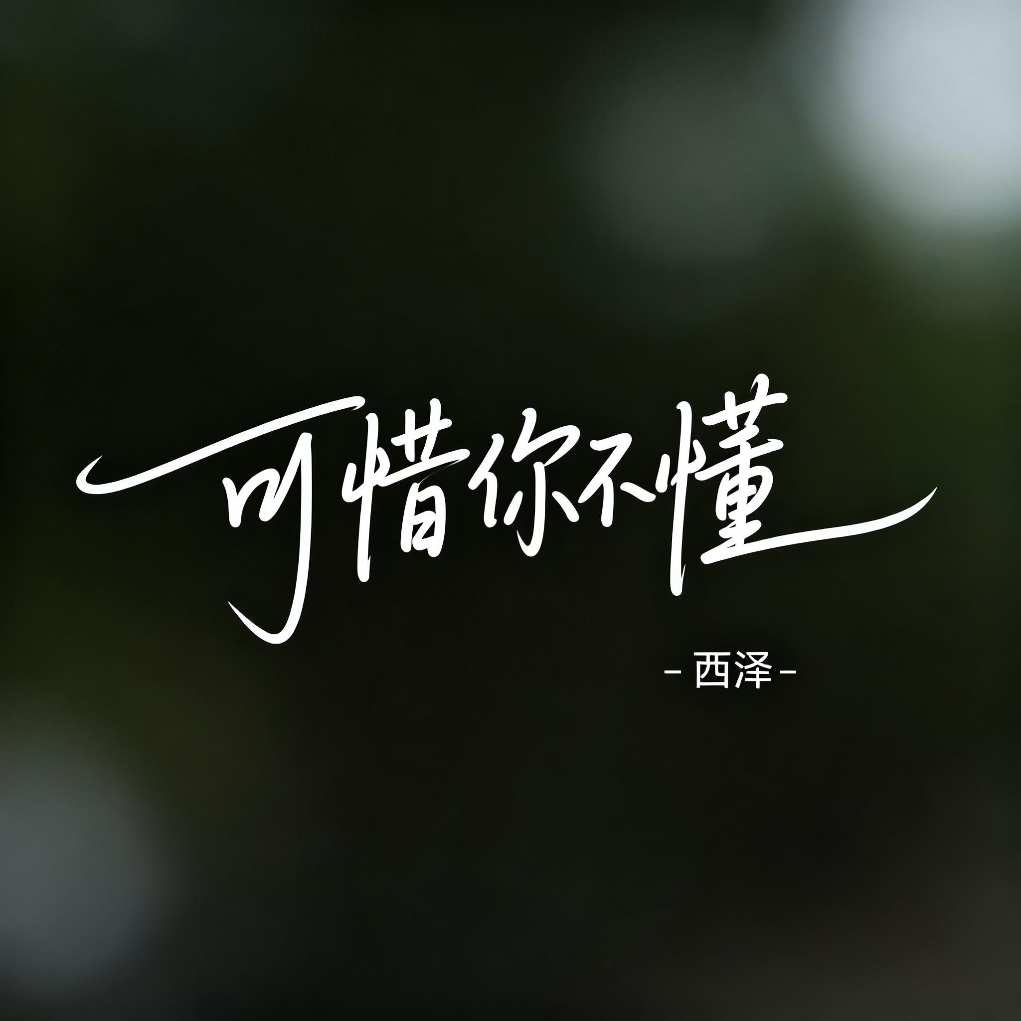 可惜你不懂（R&B版）