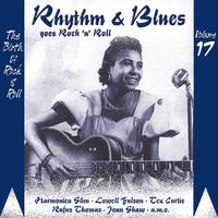 Rhythm & Blues Goes Rock & Roll, Vol. 17