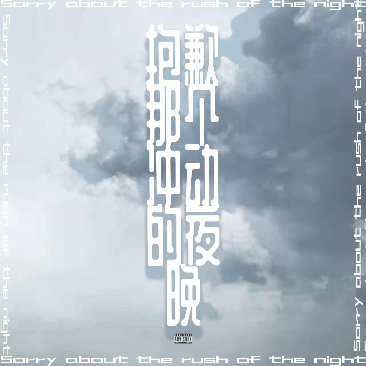 抱歉那个冲动的夜晚