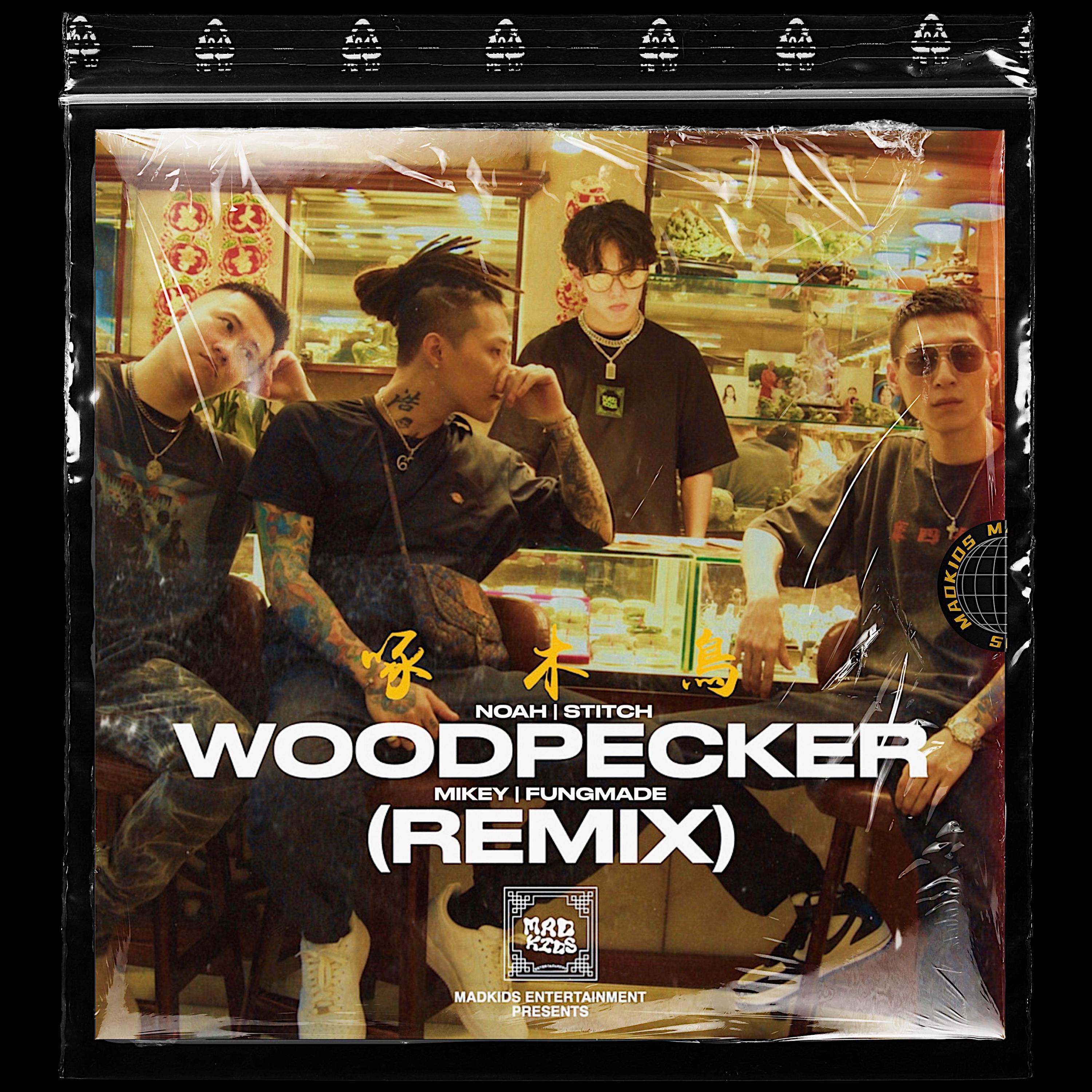 啄木鳥WOODPECKER (feat. STITCH626) (REMIX)