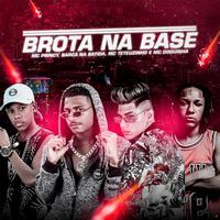 Brota na Base (Brega Funk)