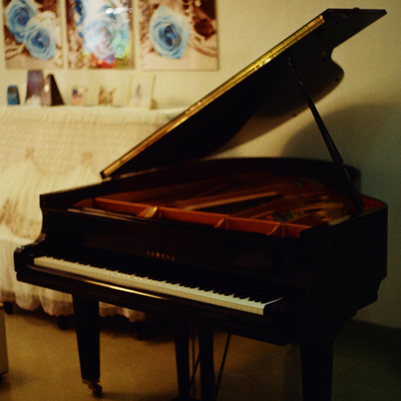 La Valse D‘amelie《天使爱美丽》电影主题曲——马克西姆2021张佳沁