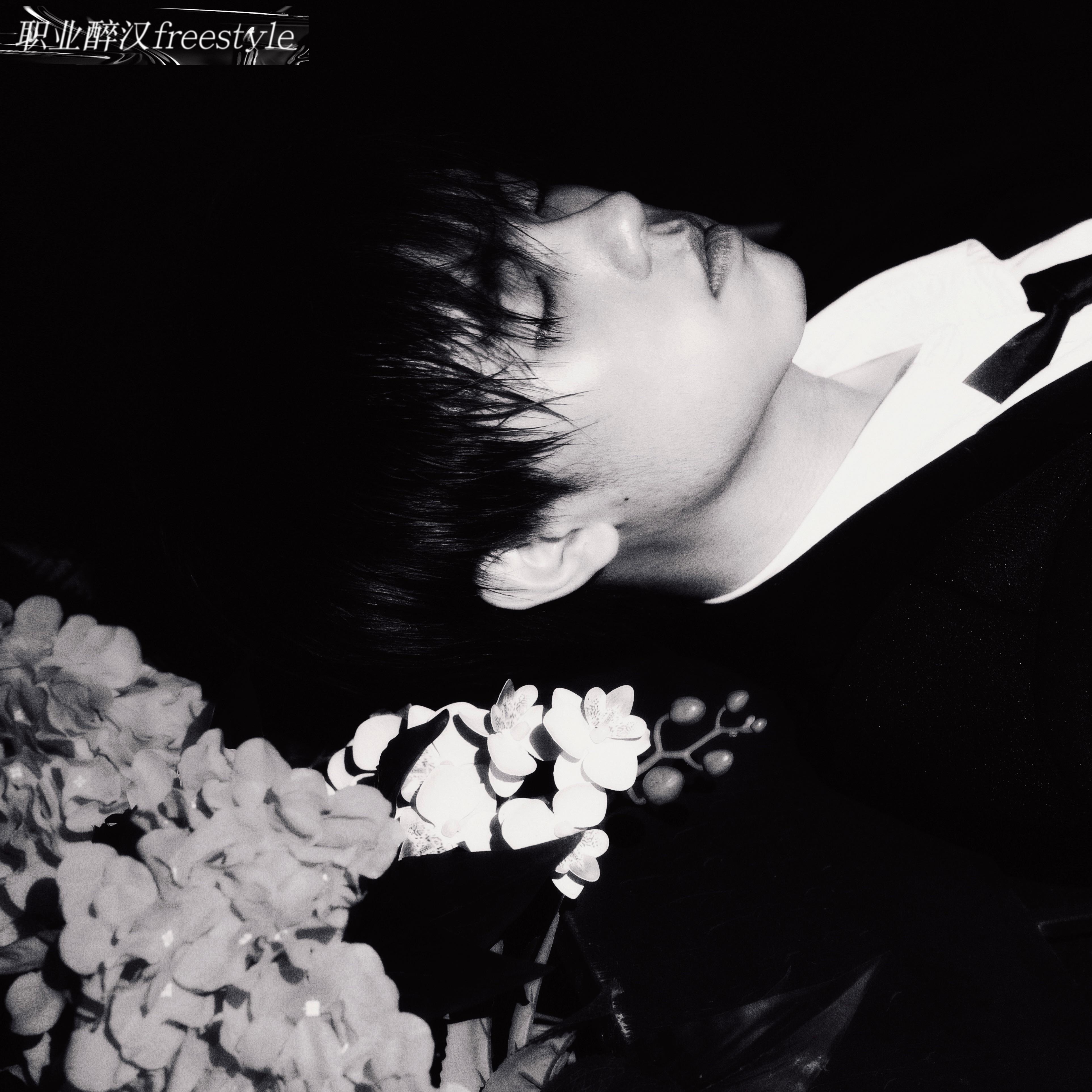 职业醉汉freestyle