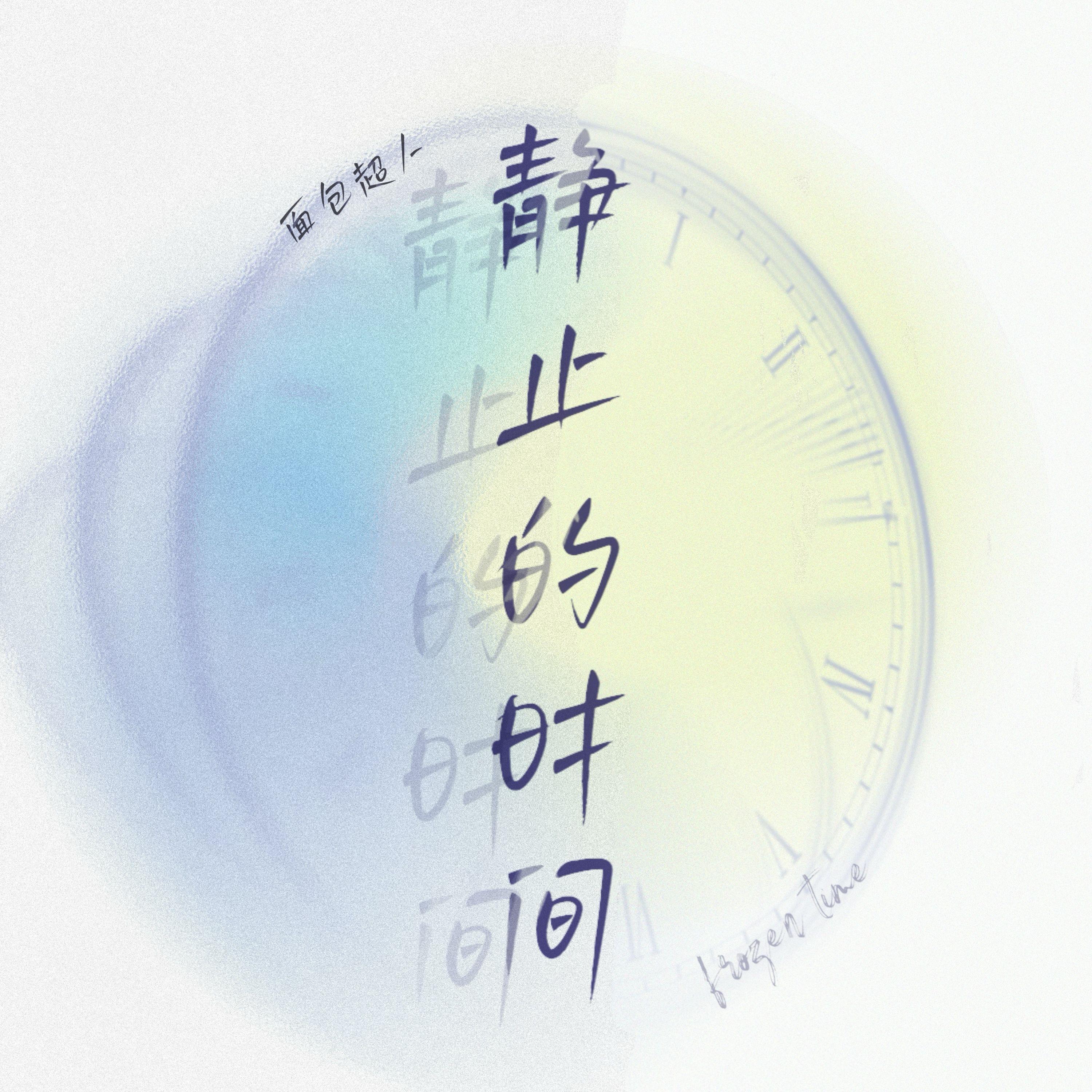 静止的时间封面