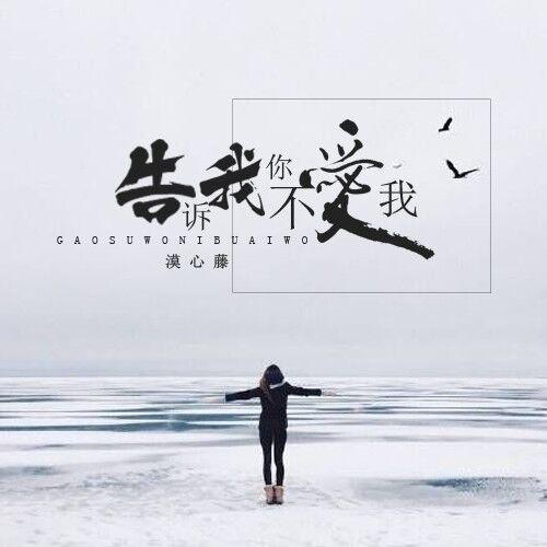 告诉我你不爱我 (伴奏)封面