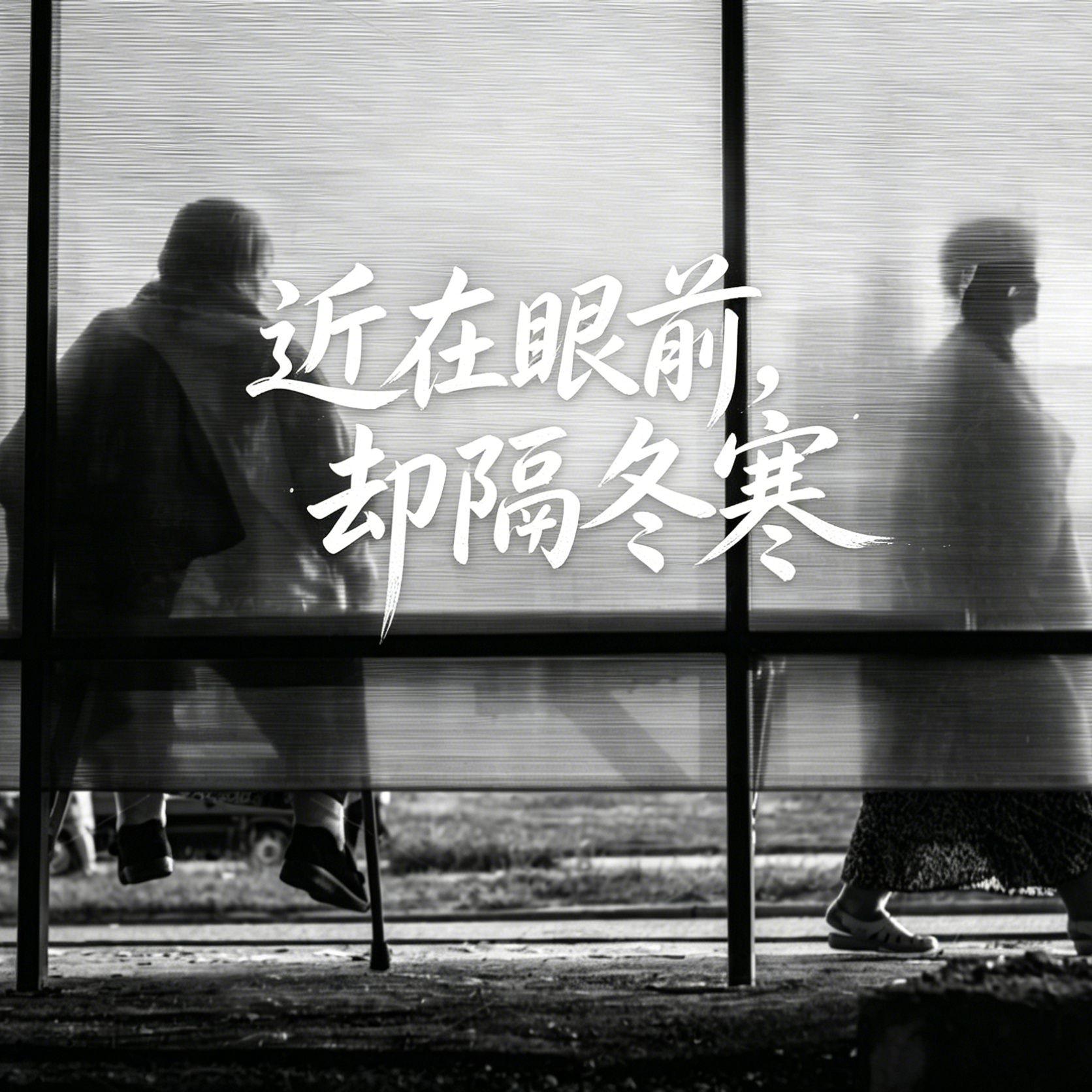 近在眼前，却隔冬寒封面