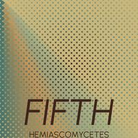 Fifth Hemiascomycetes