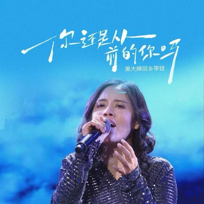 你还是从前的你吗 (DJ版) - 黑大婶回乡带娃封面