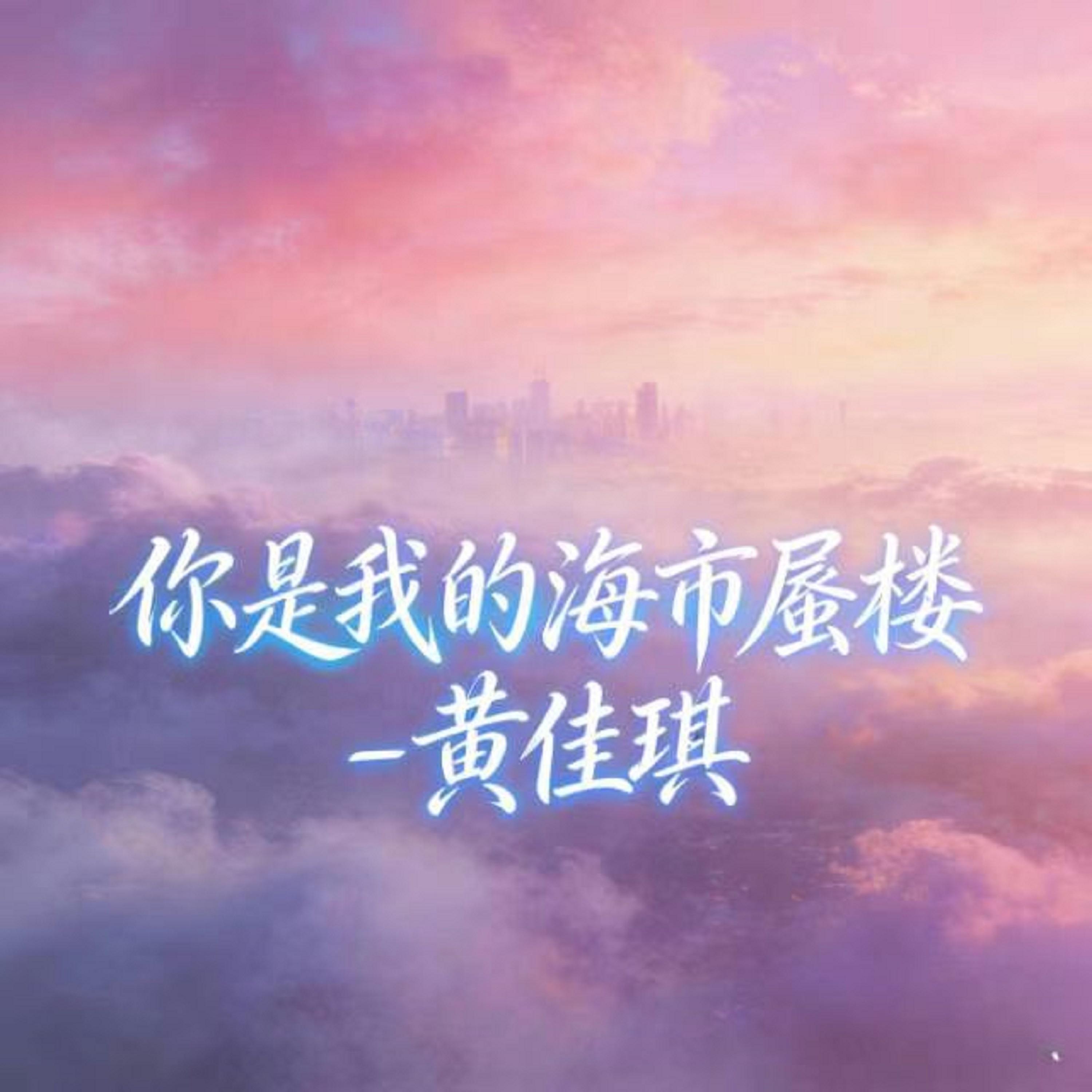 你是我的海市蜃楼 (烟嗓版)封面