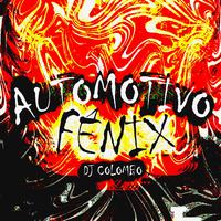 AUTOMOTIVO FÊNIX