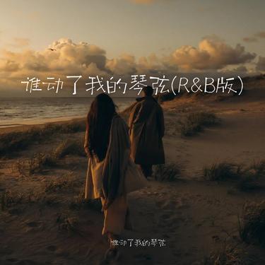谁动了我的琴弦 (R&B版)封面