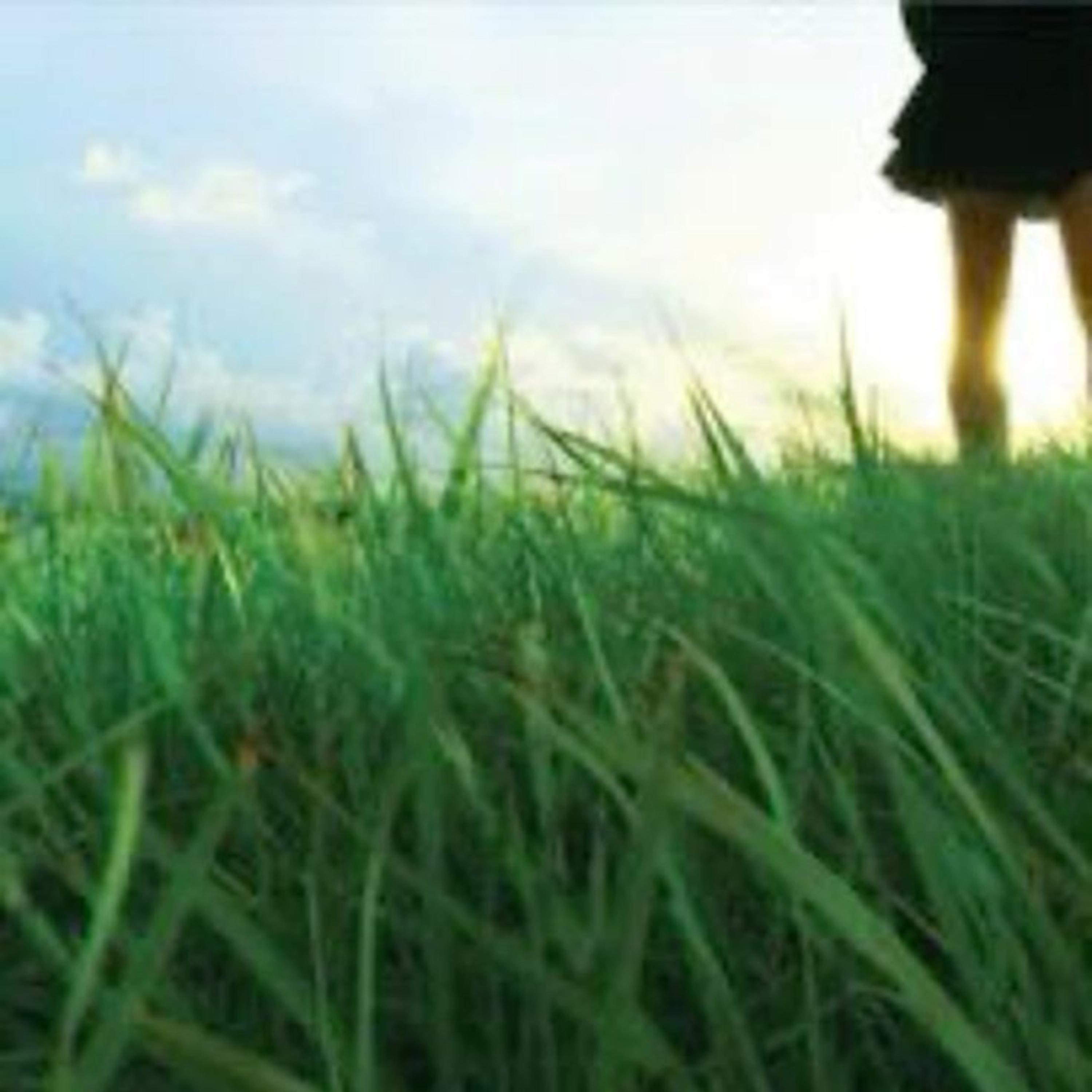 fallen (feat. alyorra)