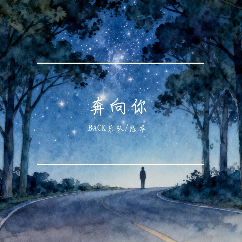 奔向你封面