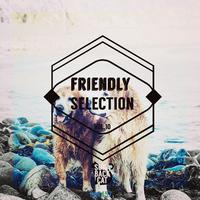 Friendly Selection Vol. 10