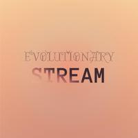 Evolutionary Stream