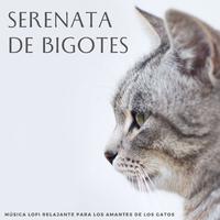 Serenata De Bigotes: Música Lofi Relajante Para Los Amantes De Los Gatos