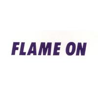 Flame On (Recalled Single)