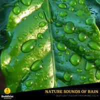 Nature Sounds of Rain - Dewy, Light and Dark Atmospheres, Vol. 10