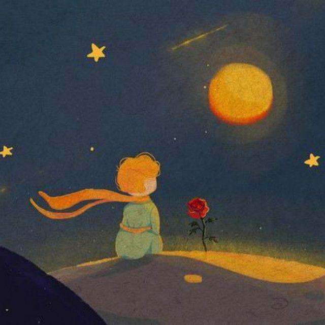 太平洋沙漠（小龙舌兰）