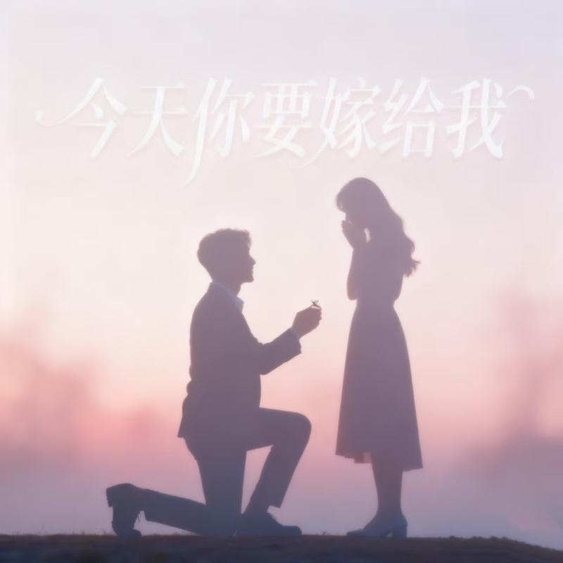 今天你要嫁给我 (DJ版) - DJ拐子封面