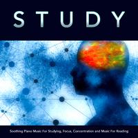 Study: Soothing Piano Music For Studying, Focus, Concentration and Music For Reading