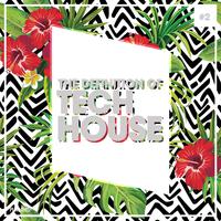 The Definition of Tech House, Vol. 2