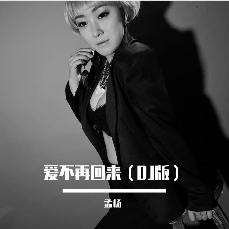 爱不再回来 (DJ版)封面