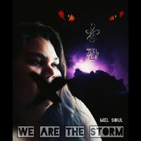 We Are The Storm