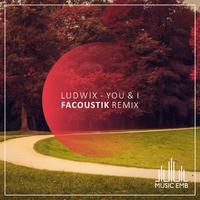 You & I (FacoustiK Remix)