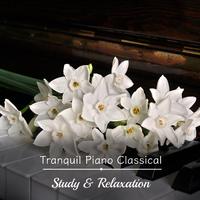 Gentle Piano Music - Beethoven's Sonata No 13 in E Flat Major Op 27 No 1 III Adagio con Espressione