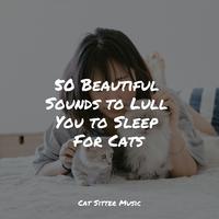 50 Beautiful Sounds to Lull You to Sleep For Cats