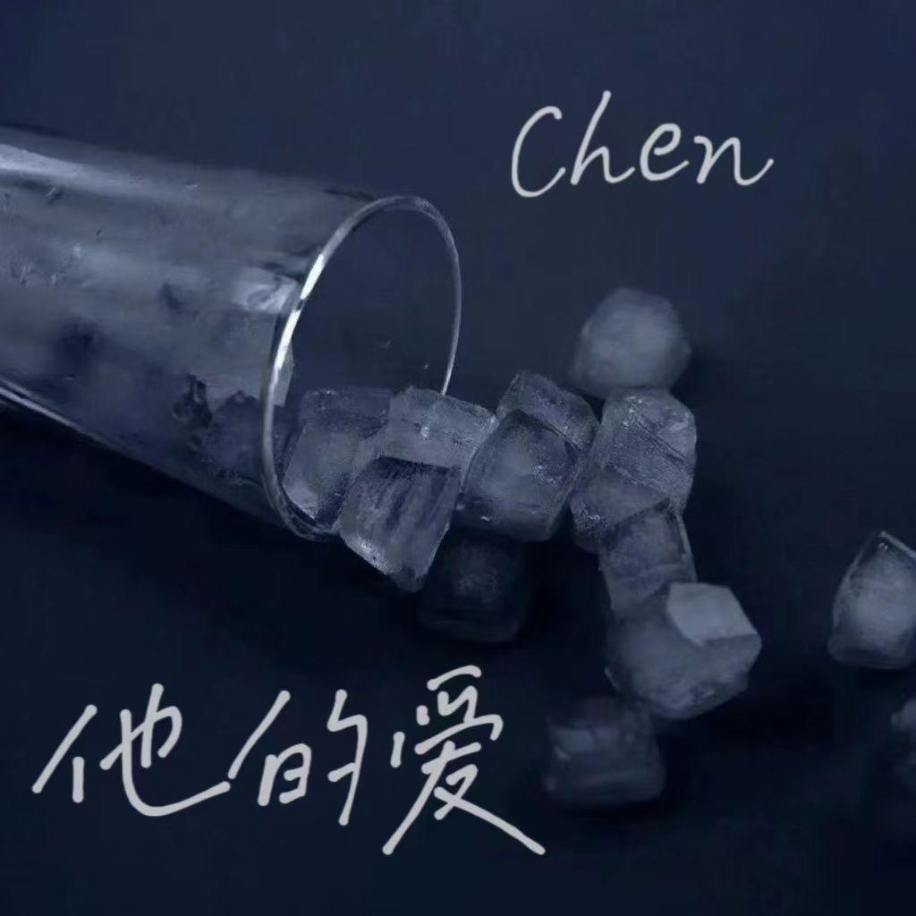 他的爱封面