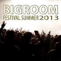 Bigroom Festival Summer 2013